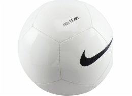 Nike Fotbalové kopačky Pitch Team bílé FZ7553 100 5