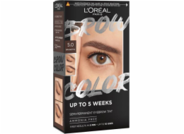 L’Oreal Paris L'Oréal Paris L'Oréal Brow Color sada na barvení obočí 5.0 Brunette