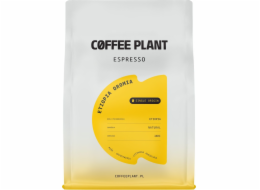 Coffee Plant Kávové rostlinné espresso Etiopie Oromia 250g