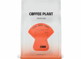 Coffee Plant Kávová rostlina FLOW Juicy Fruit 250g kávová zrna