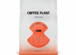 Coffee Plant Kávová rostlina FLOW Jungle Fruit 250g kávová zrna