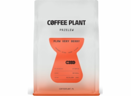 Coffee Plant Kávová rostlina FLOW Verry Berry 250g