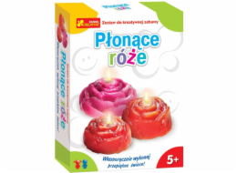 Ranok Ranní hořící růže