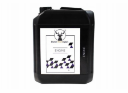 Airpress Daniel Washington Motor 5L (mytí motoru)