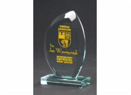 Victoria Sport Skleněná trofej s rytím a pouzdrem + výplň barvou