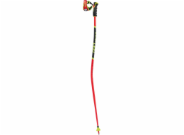 Leki LE KIJ WCR TBS GS 3D 120