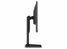 AOC P1 24P1 plochý počítačový monitor 60,5 cm (23.8") 1920 x 1080 px Full HD LED Černá
