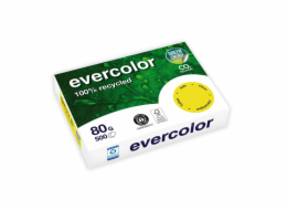 Clairefontaine EverColor grün Recyclingpapier A 4 80 g 500 Bl.