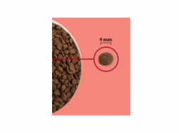 ACANA Highest Protein Indoor Cat - suché krmivo pro kočky - 1,8kg