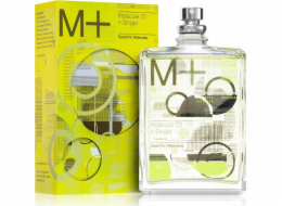 Alkotest ESCENTRIC MOLECULES Molecule 01 Ginger EDT sprej 100ml