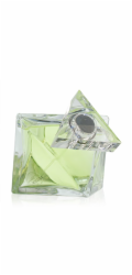 Britney Spears Believe EDP 100 ml