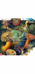 Představivost Puzzle: Ernst Haeckel Mořští živočichové 1000 prvků