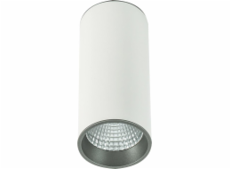 Italux Moldes Big WH/GR Stropní svítidlo 3000K SLC7392/12W 3000K WH+GR