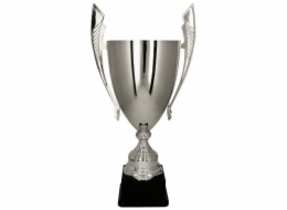 Victoria Sport Cup Metal Silver