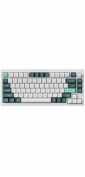 Bezdrátová klávesnice Keychron Q1 HE RGB Nebula Magnetic Switch (bílá) [Q1H-P1].