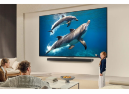 Televize 55QNED84A3C