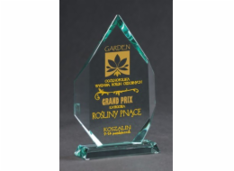 Victoria Sport Skleněná trofej s rytím a pouzdrem + výplň barvou