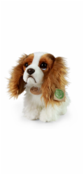 Rappa Plyšový pes King Charles španěl 25 cm