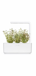 Smart Garden Tymián