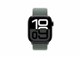 Apple Watch 42mm Sage Sport Loop