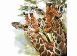 DIAMOND DOTZ Diamantová výšivka Diamond Dotz Žirafy 48x48cm DD8017