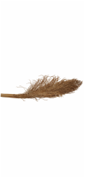 Lucky Reptile Palm Torch 30-40 cm