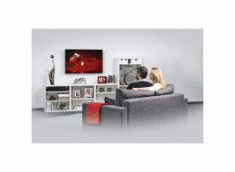Hama Držák LCD/LED 800x600 fix XL 100 palců