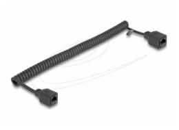 Delock - Sítový prodlužovací kabel - RJ-45 (F) do RJ-45 (F) - 1 m - 5 mm - UTP - CAT 5e - svinutý - cerná