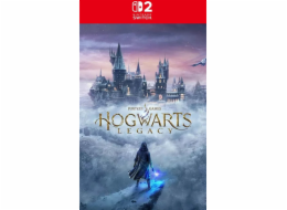 NS2 - Hogwarts Legacy