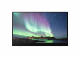 Ricoh 150 Mobiler OLED-Monitor mit Touchscreen