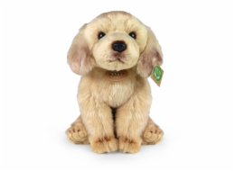 Rappa Plyšový labrador sedící 27 cm ECO-FRIENDLY