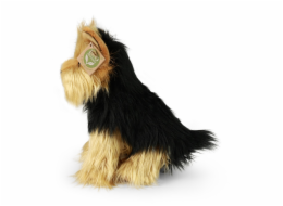 Rappa Plyšový pes jorkšírský teriér 25 cm ECO-FRIENDLY