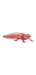 Mojo Axolotl