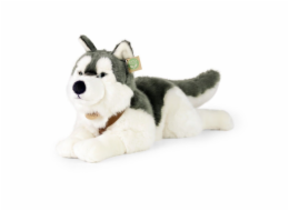 Rappa Plyšový pes husky s obojkem ležící 60 cm ECO-FRIENDLY Rappa Plyšový pes husky s obojkem ležící 60 cm ECO-FRIENDLY