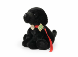 Rappa Plyšový pes labrador černý s vodítkem 28 cm ECO-FRIENDLY