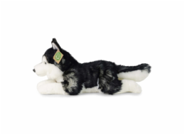 Rappa Plyšový pes husky 36 cm ECO-FRIENDLY