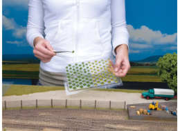 Noch ravní trs kvetoucí sada 104 ks