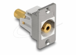 Delock - Modul - mini-phone stereo 3.5 mm - stríbrná, bílá