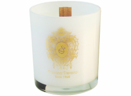 Tiziana Terenzi SVÍČKA Lillipur 170g