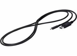 Eizo USB kabel EIZO CP200-BK, 2 m, USB C, DisplayPort, samec, samec, černý