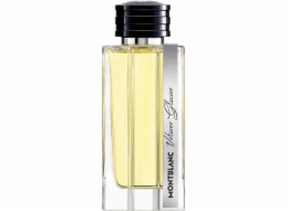montblanc Mont Blanc Vetiver Glacier EDP 125ml