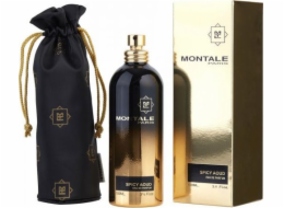 Montale Montale SPICY AOUD EDP 100ml
