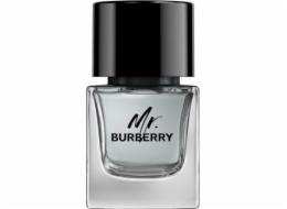 Burberry BURBERRY Mr. Burberry EDT sprej 50ml