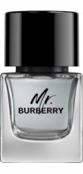 Burberry BURBERRY Mr. Burberry EDT sprej 50ml