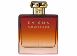NoName ROJA PARFUMS Enigma Pour Homme Parfum Cologne sprej 100ml