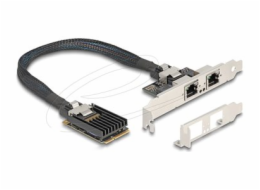 Delock&nbsp;-&nbsp;Sítový&nbsp;adaptér&nbsp;-&nbsp;PCIe&nbsp;Mini&nbsp;Card&nbsp;nízký&nbsp;profil&nbsp;-&nbsp;Gigabit&nbsp;Ethernet&nbsp;x&nbsp;2