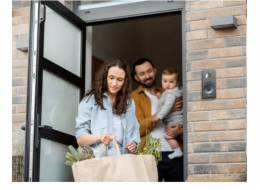 2N® IP One  - základní jednotka, grey