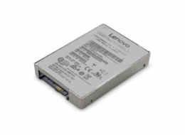 Storage 3.84TB 1DWD 2.5" SAS SSD