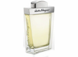Salvatore Ferragamo Pour Homme EDT 100 ml