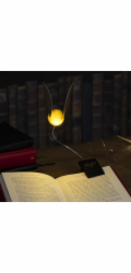 Harry Potter LED noční světlo s Harrym Potterem